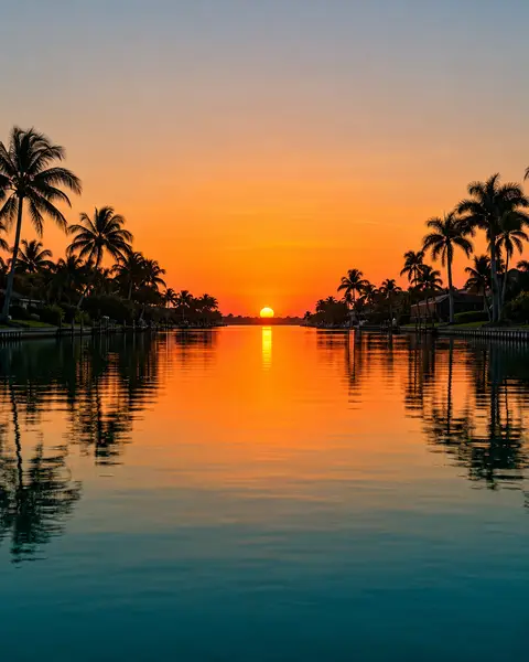 A Cape Coral canal at sunset between rows of palms
